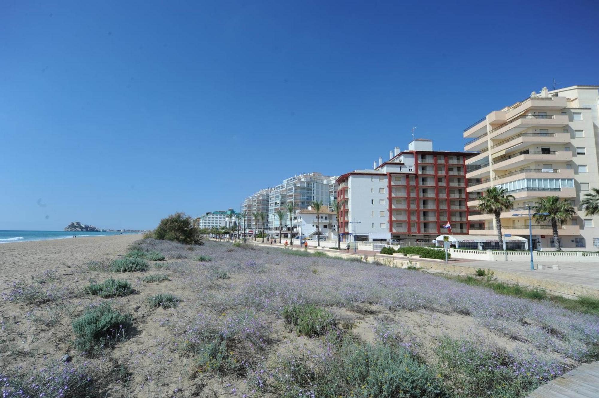 Apartamento Marina Vistamar Orangecosta Peñíscola Exterior foto